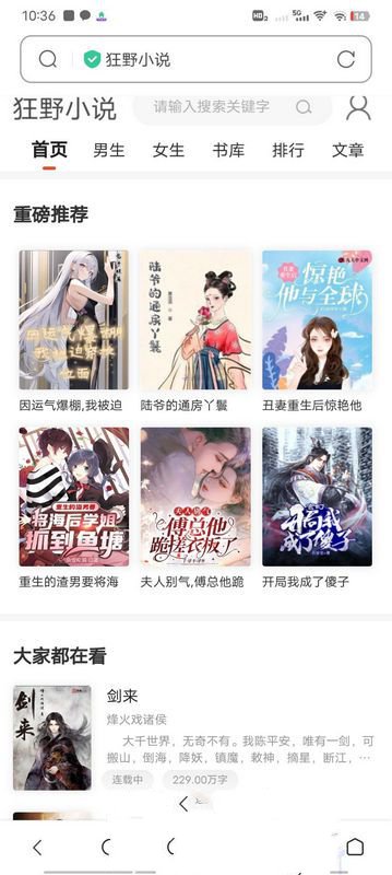小说网站源码带管理后台手机端和采集(图1)