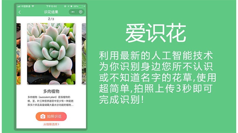 爱识花V3.5.8小程序前端+后端(图1)