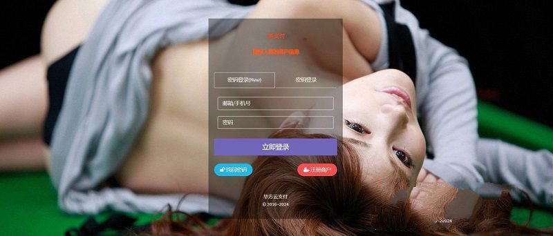 二开的前端模板美化基于易支付源码 去授权版(图1)