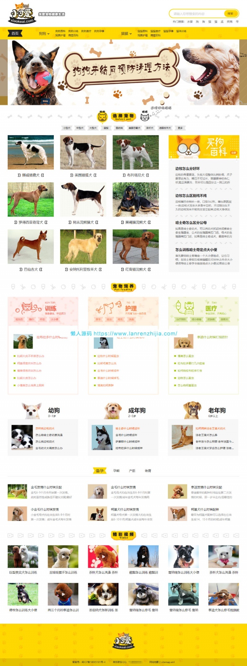 帝国CMS仿《小可爱宠物网》宠物资讯平台