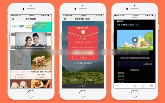 DS正版微信视频打赏代理分销系统源码全新V15版本(图1) DS正版微信视频打赏代理分销系统源码全新V15版本(图1)
