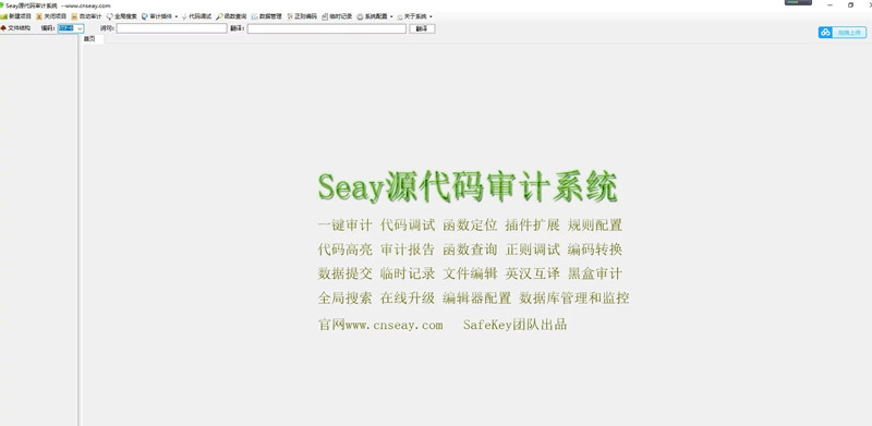 SEAY代码审计系统源码 独家去除后门/排门【去马修复版】(图1)