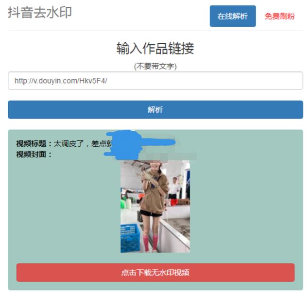 在线抖音去水印网PHP源码(图1)