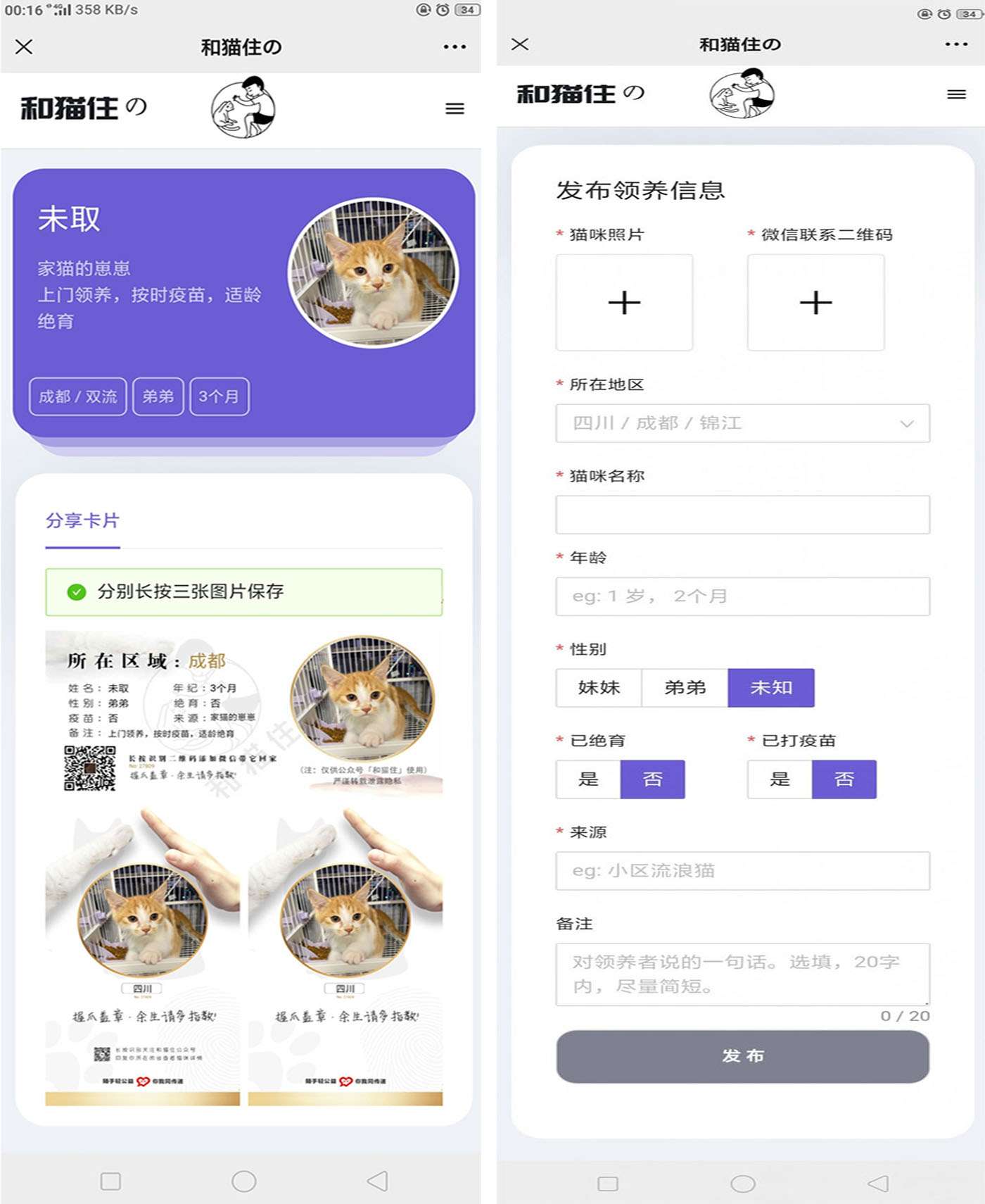 流浪猫流浪狗领养源码(图1)