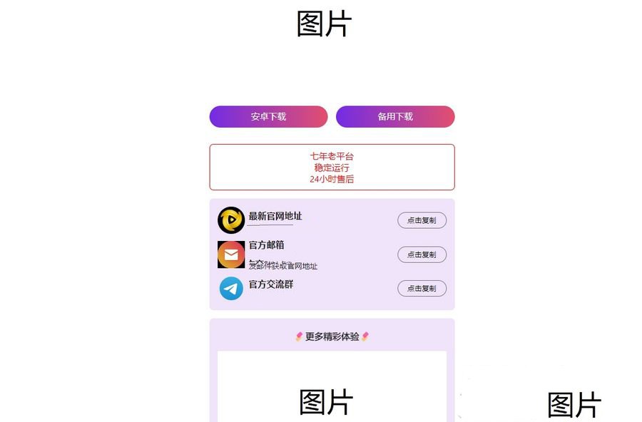 2024首发最火的软件宣传单页源码