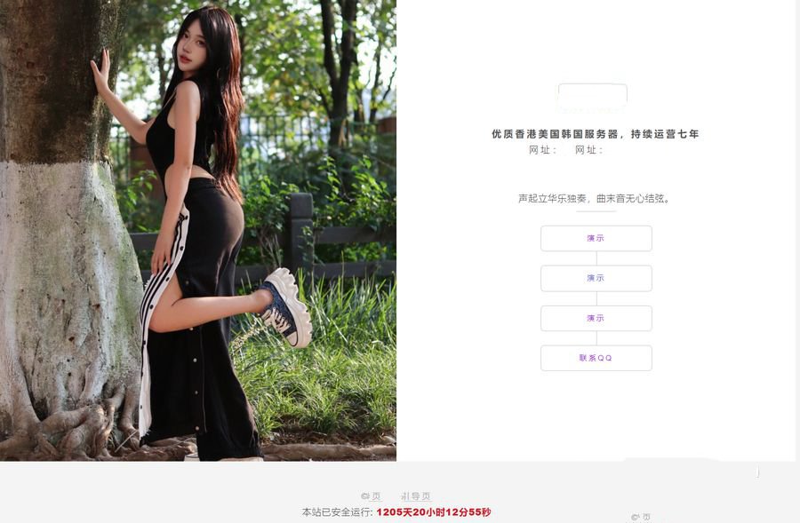 最新简约美观的网址网站引导页HTML源码