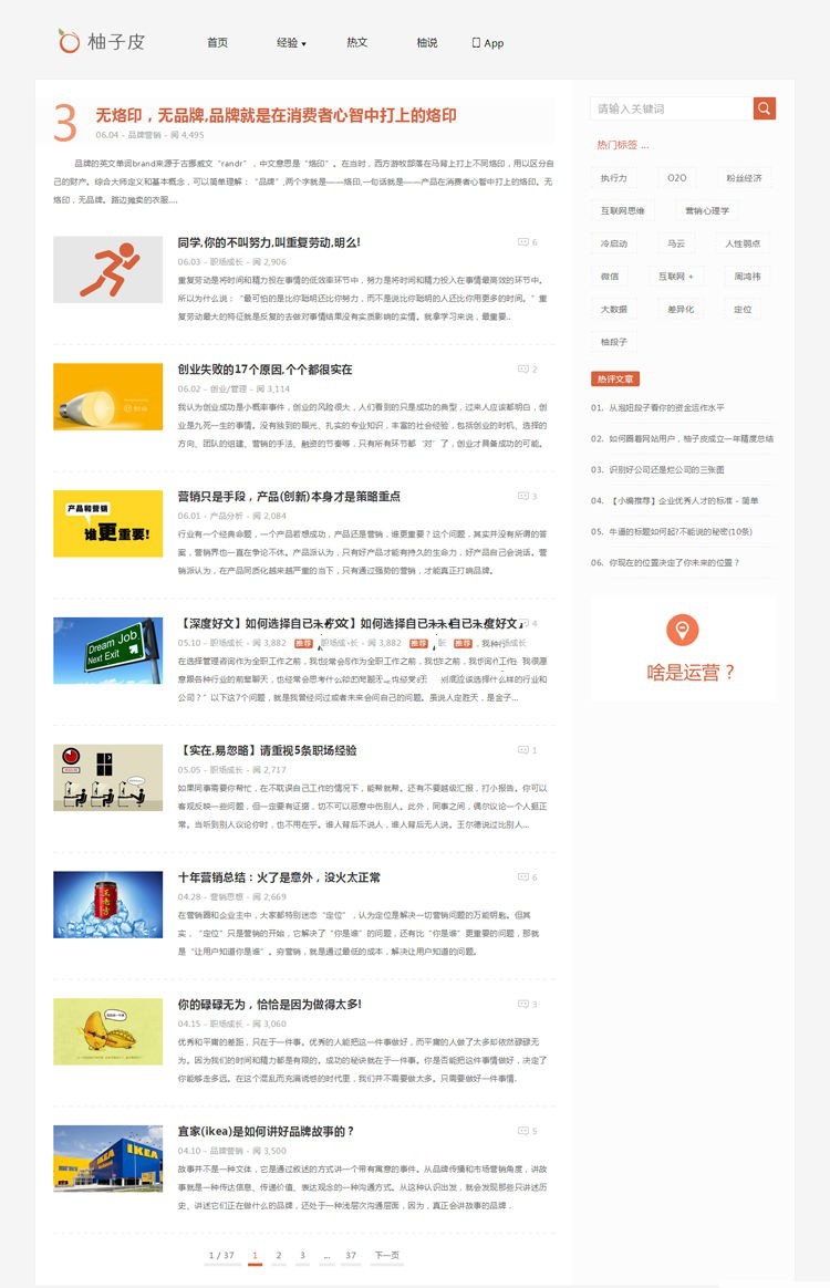 柚子皮简约清新博客自媒体wordpress主题模板(图1) 柚子皮简约清新博客自媒体wordpress主题模板(图1)
