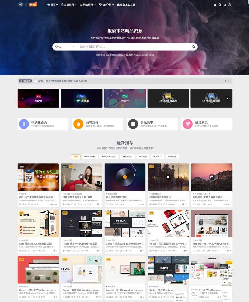 WordPress虚拟资源商城主题 RiPro-V5激活版V7.1.3 RiPro-V5开心版(图1)