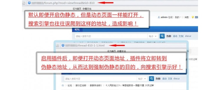 Discuz强制伪静态地址seoV5.3插件DZ论坛SEO插件(图1)