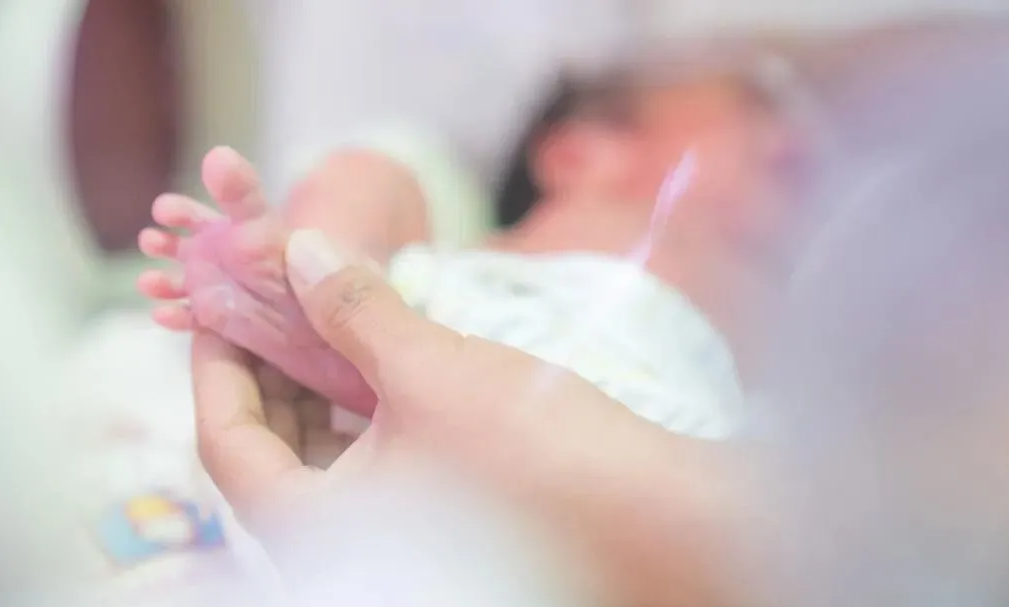 人民网：骗取生育津贴超220万？生育津贴岂容造假“揩油”(图1)