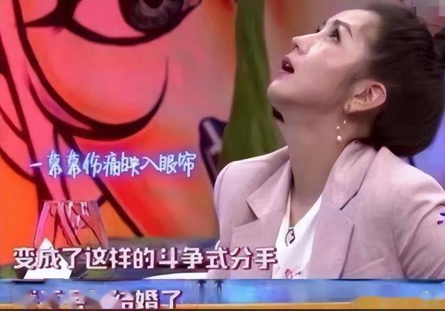 39岁何洁演唱会状态曝光，肚子三层肉腋下勒出副乳，养4娃显疲惫(图12)