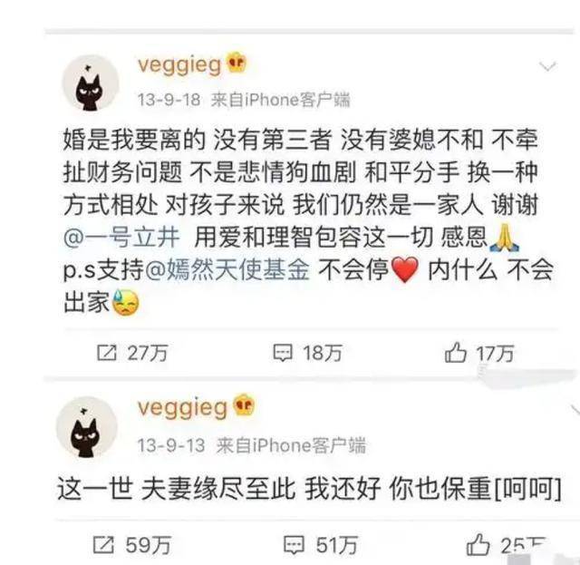 谢霆锋也没想到，爱了20年的王菲，到头来能让她开心的另有其人？(图13)