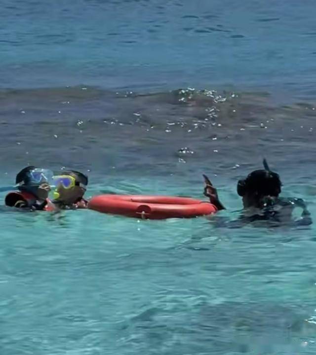 夏露去海岛度假，戴草帽甜笑像女明星，马龙陪两个儿子潜水好有爱(图5)