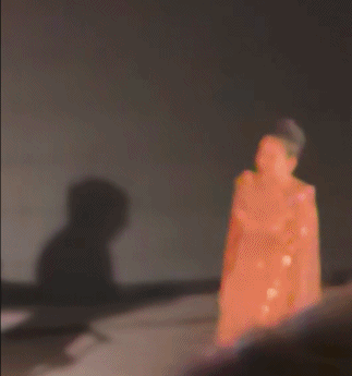 章子怡被吐槽拜高踩低！主动和卡梅隆热聊，对孙俪邓超略显冷淡(图16)