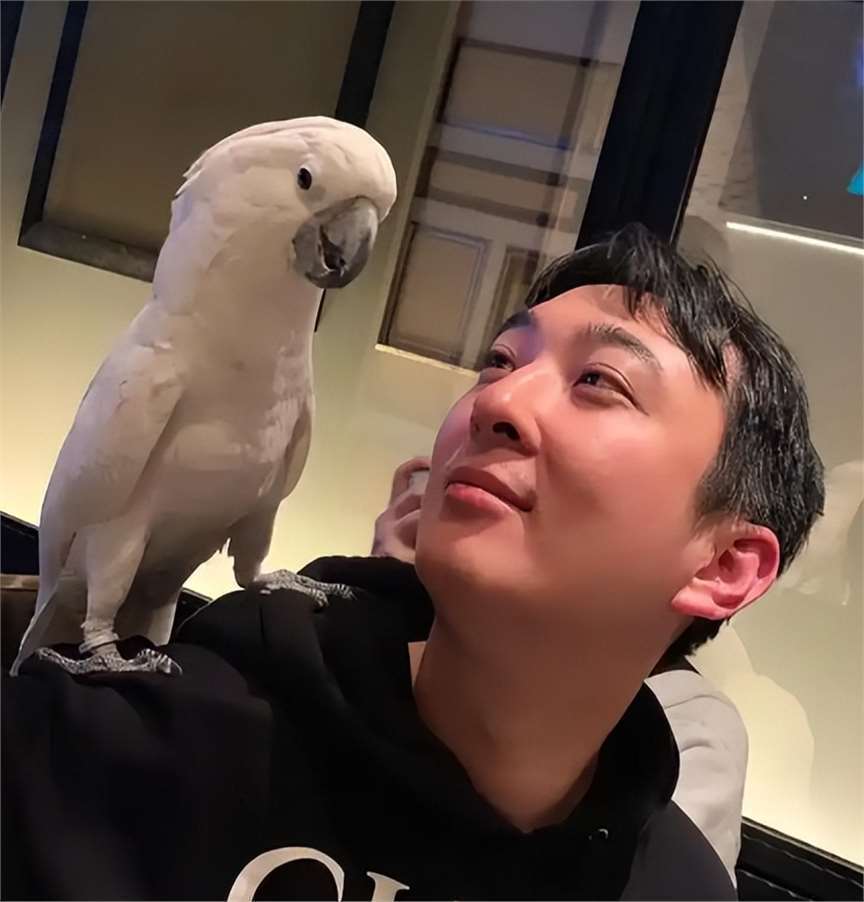 王思聪在新加坡出现，穿粉色鞋子携粉色塑料袋，身边有三位女伴(图3)