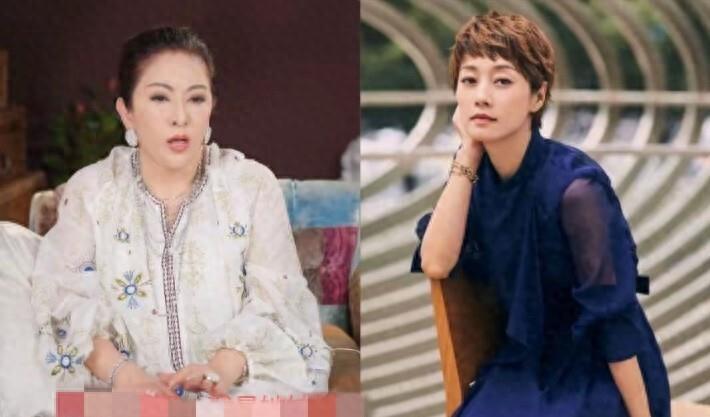 向太曝大料！49岁马伊琍低调再婚，曾原谅文章却因一点彻底分手！(图1)