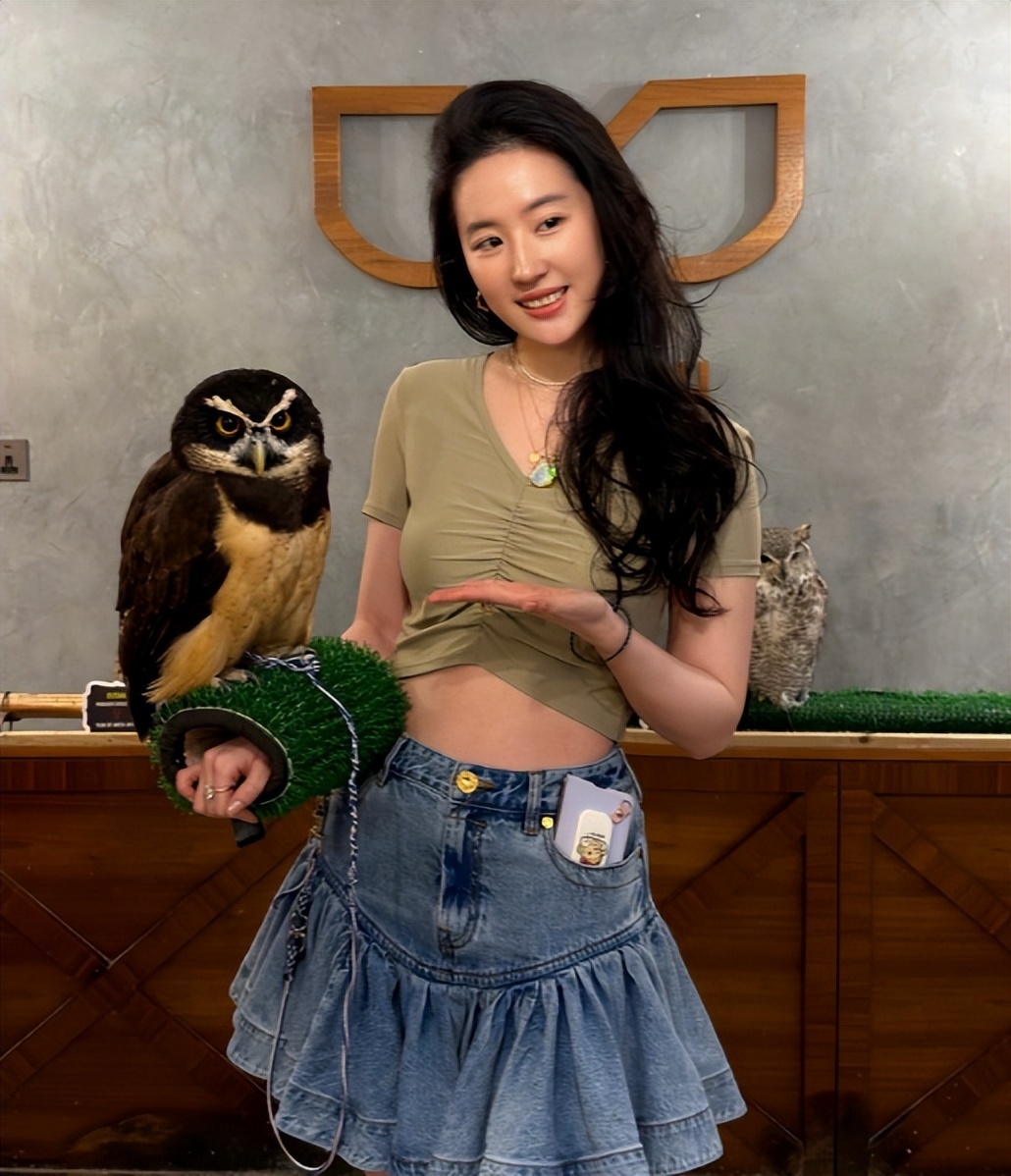 刘亦菲晒游轮美照!在阿联酋度假肥硕不少，长了副乳但马甲线还在(图6)