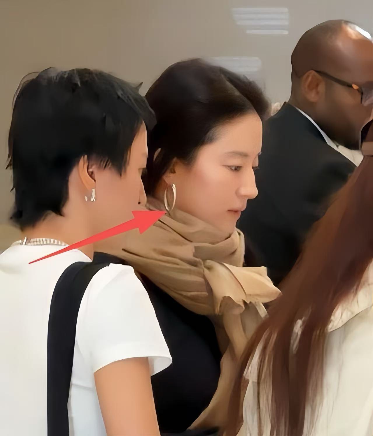 刘亦菲晒游轮美照!在阿联酋度假肥硕不少，长了副乳但马甲线还在(图12)