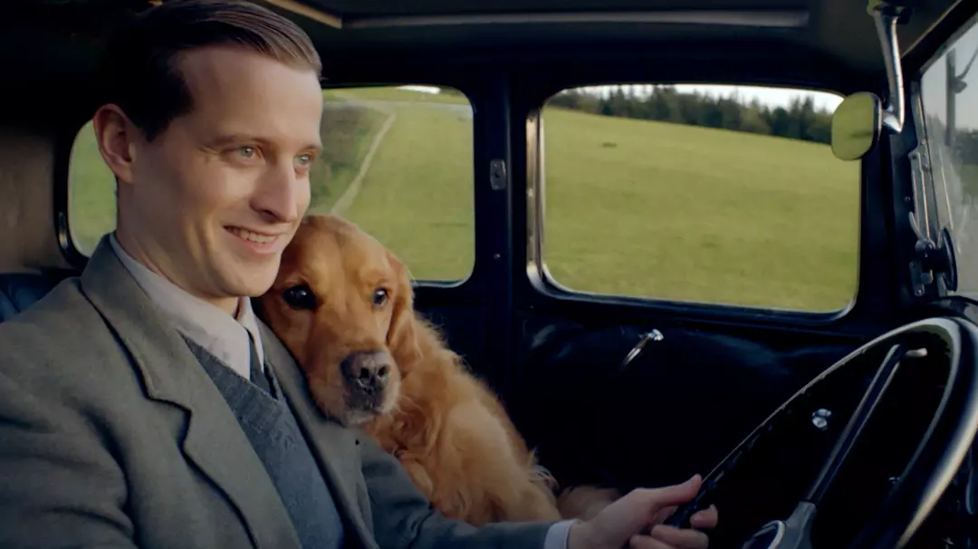 papi妈妈终于赢了，毒死一条狗为什么该判刑？(图5)