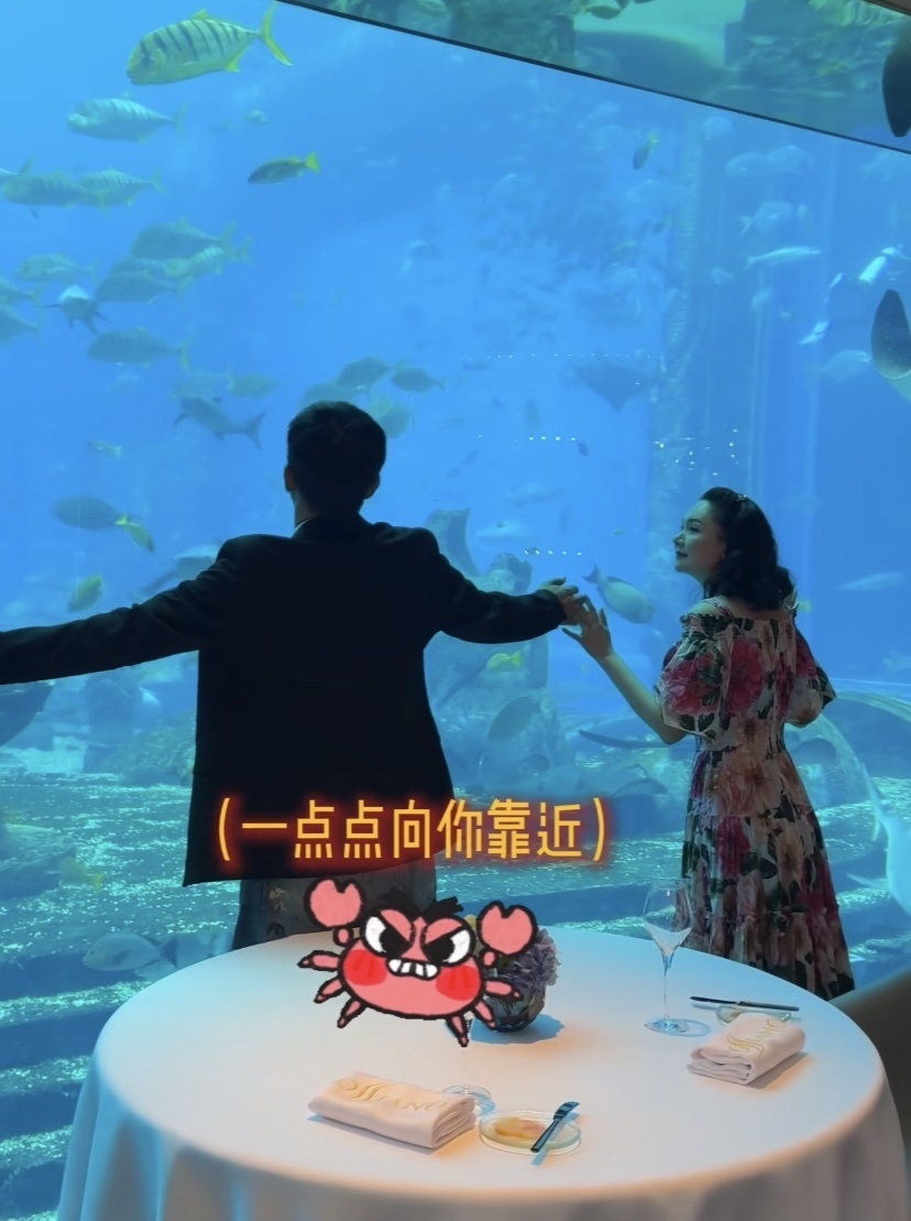 郭晓冬夫妇游三亚,程莉莎穿花裙像20来岁,当街索吻比7年前恩爱(图24) 郭晓冬夫妇游三亚,程莉莎穿花裙像20来岁,当街索吻比7年前恩爱(图24)