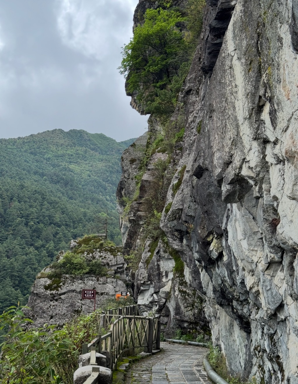 男子在大理苍山观光步道外疑自缢身亡，官方