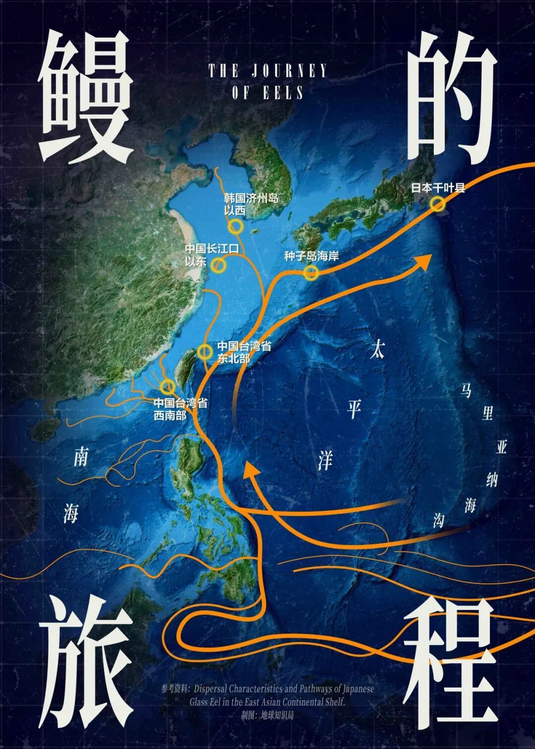 中国的鳗，快被日本吃光了？(图9)