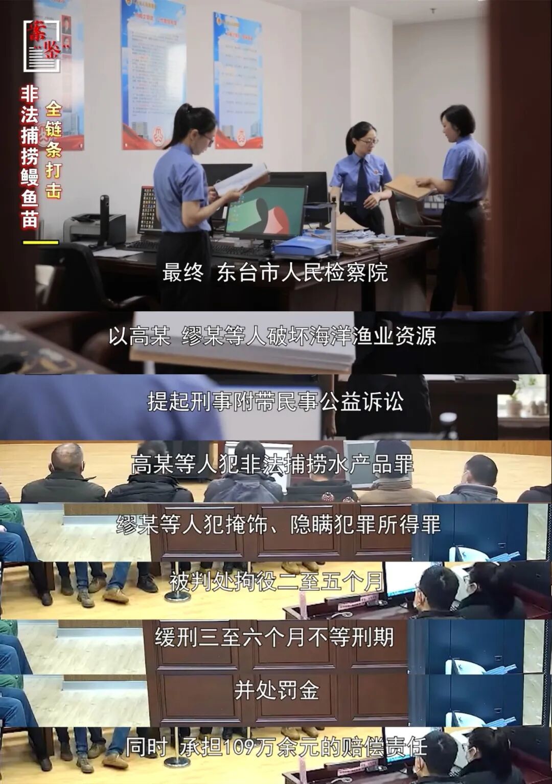 中国的鳗，快被日本吃光了？(图14)