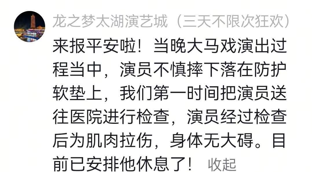 杂技演员表演中从高处坠落，马戏团：经检查为肌肉拉伤(图2)