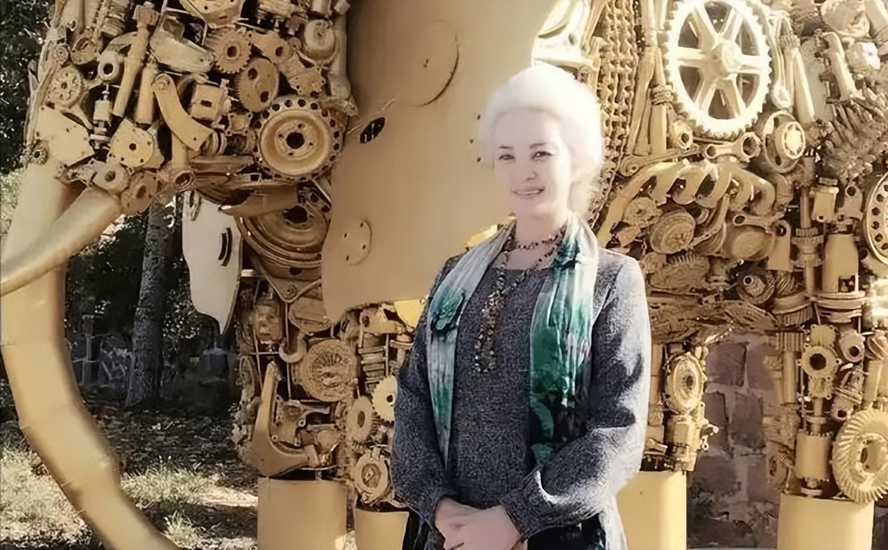 她两度瘫痪，遭丈夫抛弃后一夜白头，64岁惊艳众人成央视超模！(图2)