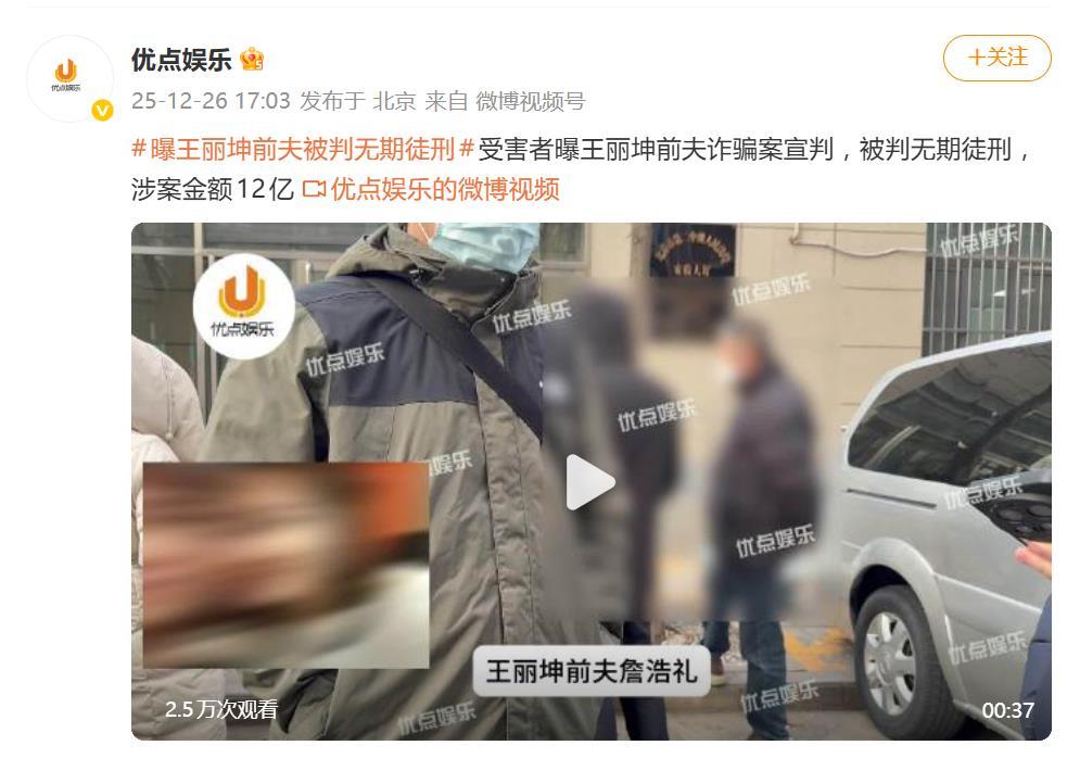 曝王丽坤前夫诈骗案宣判，被判无期徒刑，涉案金额12亿(图2)