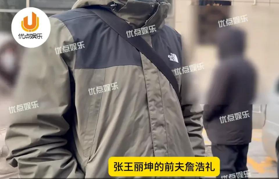 曝王丽坤前夫诈骗案宣判，被判无期徒刑，涉案金额12亿(图4)