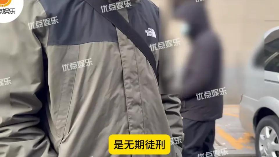 曝王丽坤前夫诈骗案宣判，被判无期徒刑，涉案金额12亿(图6)