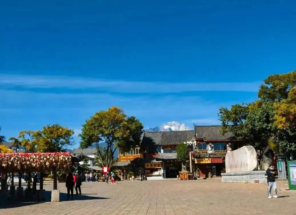 丽江损失500万，都怪小红书博主教“白嫖”？(图2)