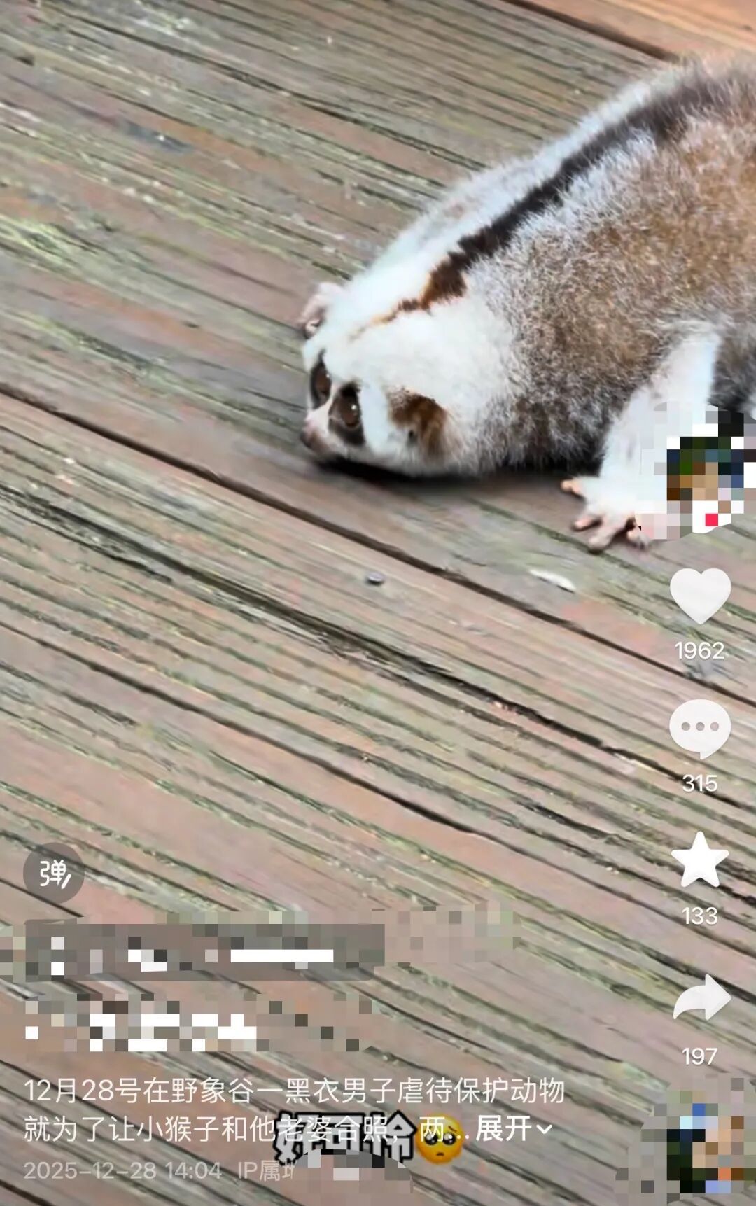 为给老婆拍照？男子摔落一级保护动物(图1)