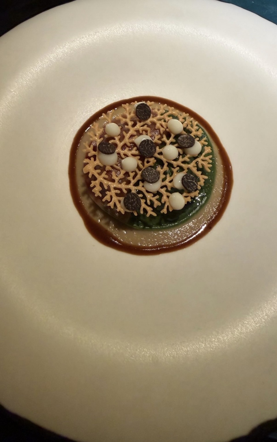 何超云平安夜盛装赴约，穿酒红色长裙明艳动人，被曝交往了新男友(图4)