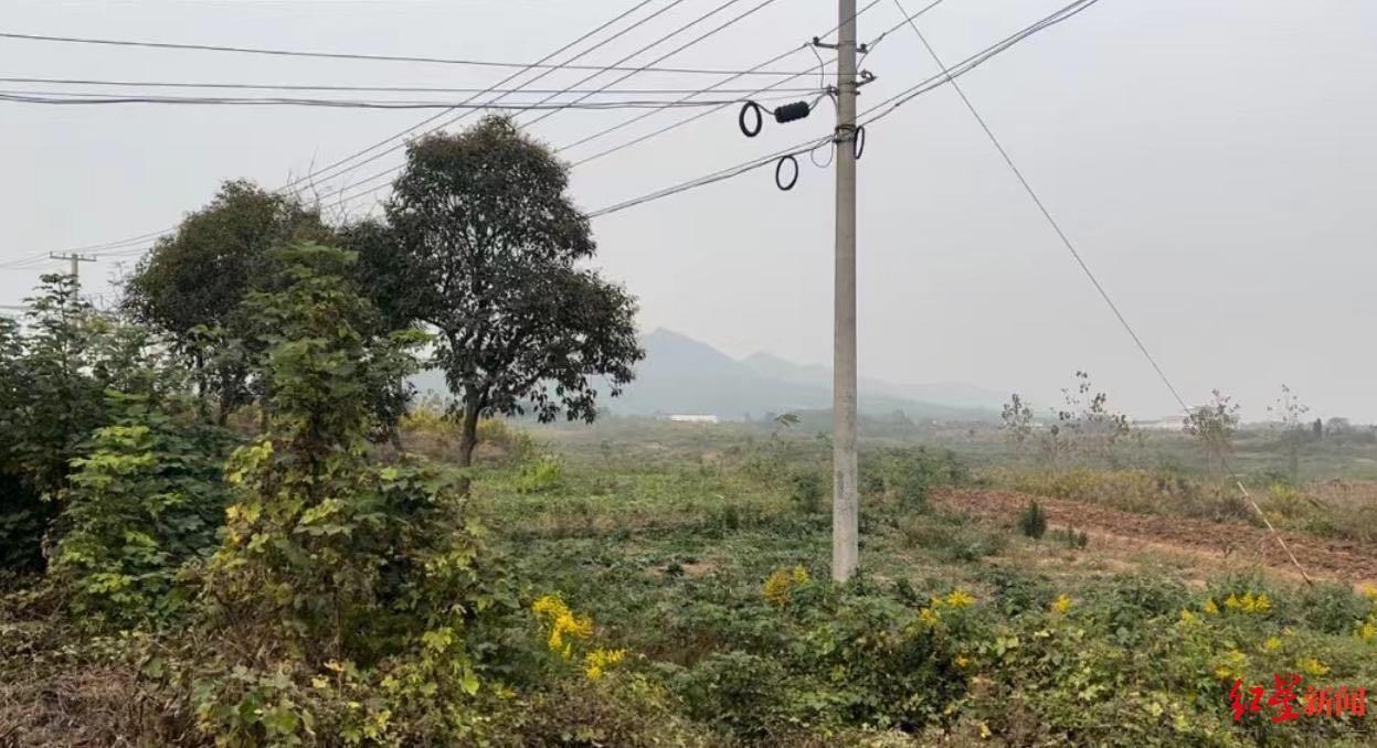 “武校投毒案”2人被执行死刑，被害人家属：这是最大的欣慰(图1)