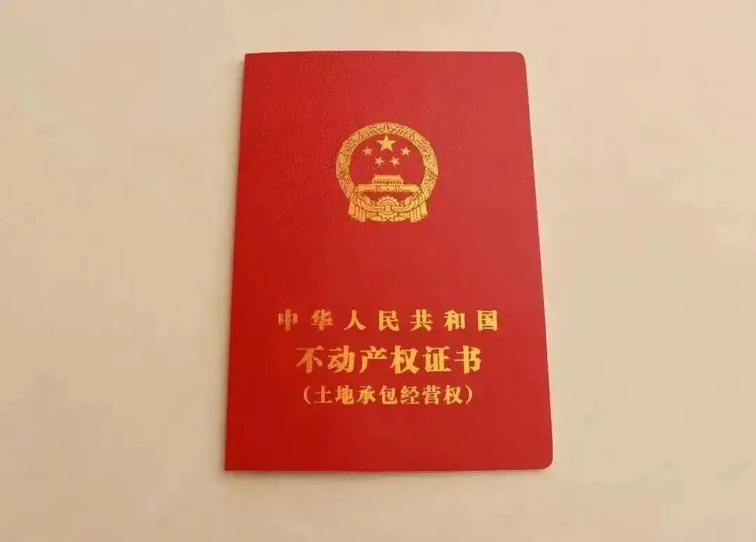 中央农村工作会议，有三个关键词(图3)