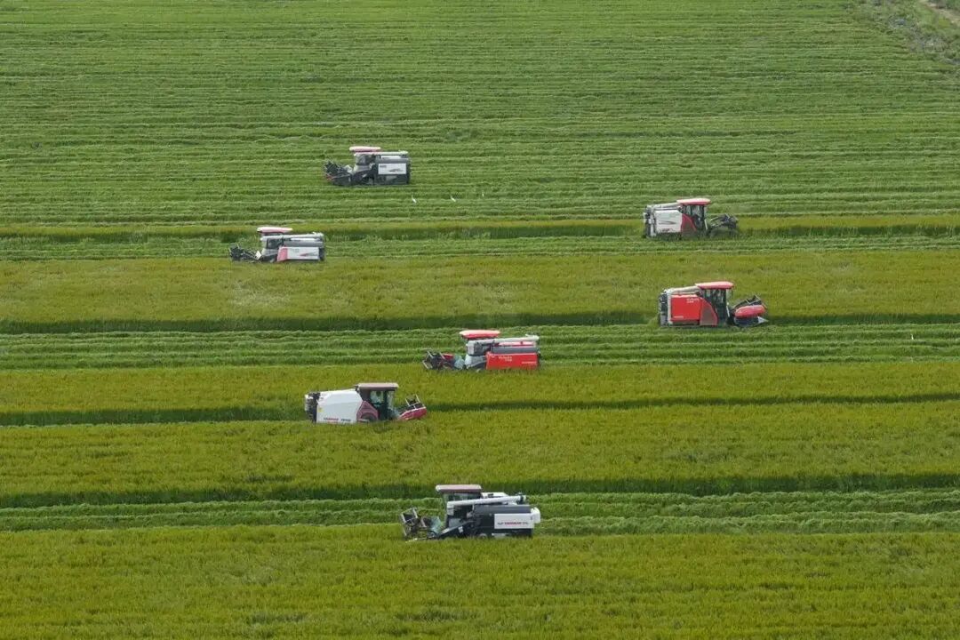 中央农村工作会议，有三个关键词(图2)