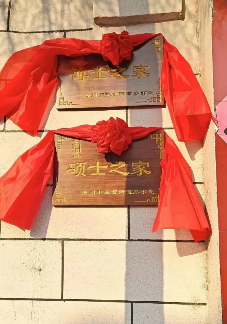 山东一仅300户村庄出了17位博士、55位硕士和104位本科生(图1)