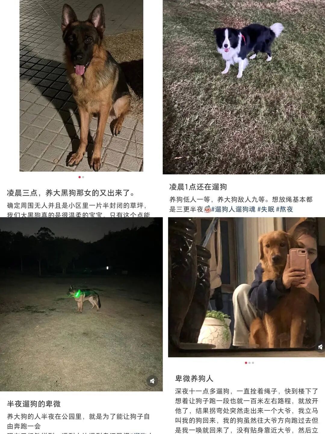 “史上最严”养犬新规施行，养犬人自研遛狗神器防被讹(图2)