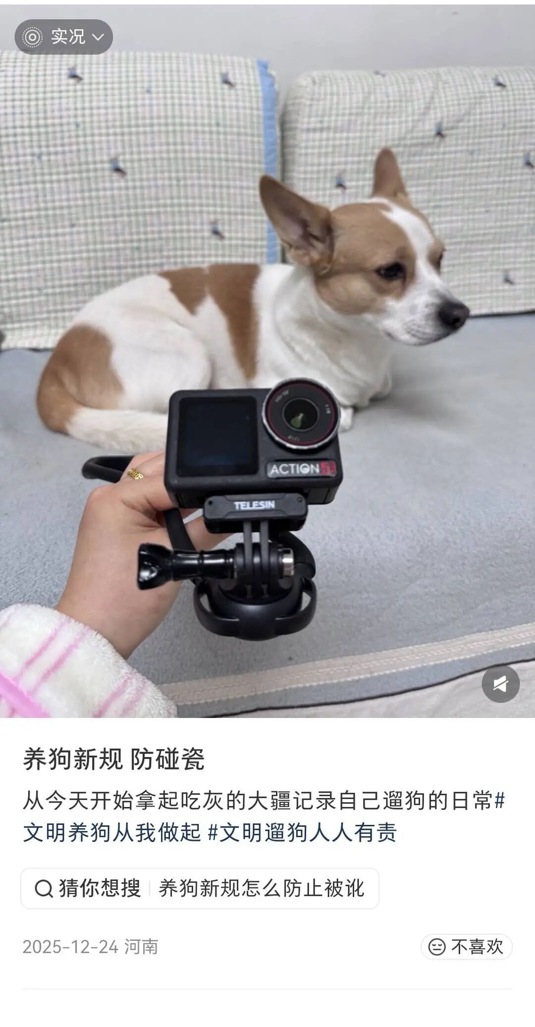 “史上最严”养犬新规施行，养犬人自研遛狗神器防被讹(图3)