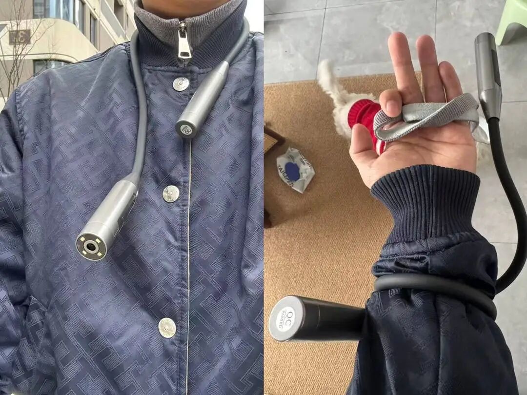 “史上最严”养犬新规施行，养犬人自研遛狗神器防被讹(图5)