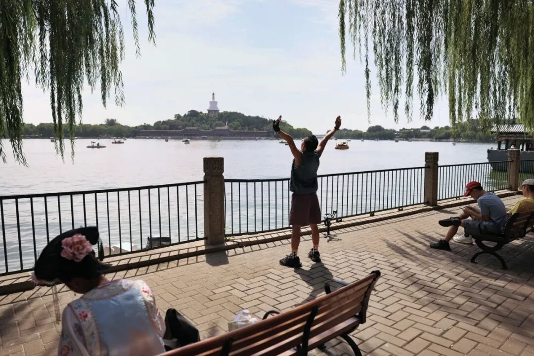 这50条预言，每一条都可能硬控我的202