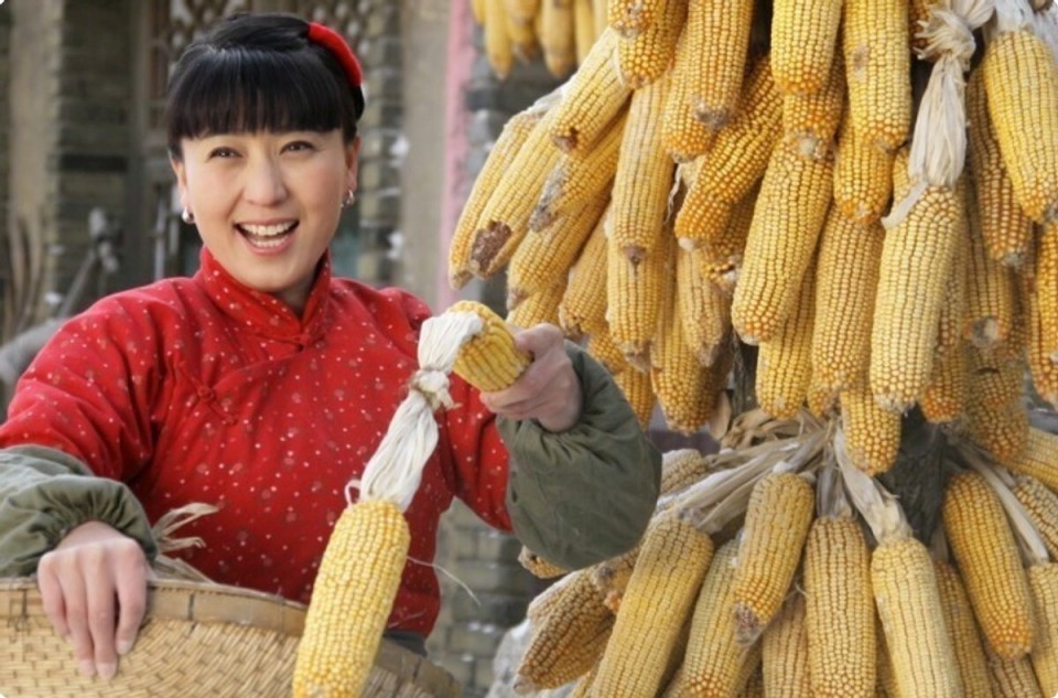 “一年没80万在北京没法过?”闫学晶一句话,刺痛了多少普通人?(图22) “一年没80万在北京没法过?”闫学晶一句话,刺痛了多少普通人?(图22)