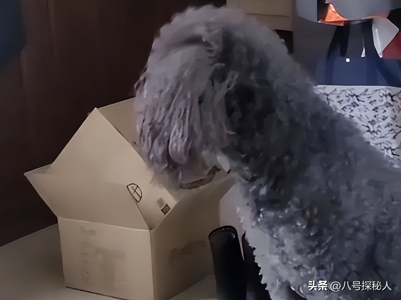 68岁冯巩现状曝光:住100平小房纸箱衣服乱扔,一次性口罩反复用(图4) 68岁冯巩现状曝光:住100平小房纸箱衣服乱扔,一次性口罩反复用(图4)