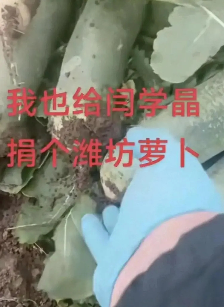 闫学晶哭穷后续：网友自发众筹，有人捐菜，有人捐肉，更有捐钢镚(图2)