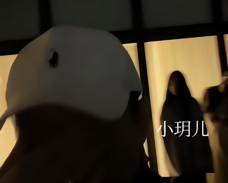 汪小菲元旦连发4条视频,玥儿姐弟露正脸,太像大S 眼含热泪看烟花(图6) 汪小菲元旦连发4条视频,玥儿姐弟露正脸,太像大S 眼含热泪看烟花(图6)