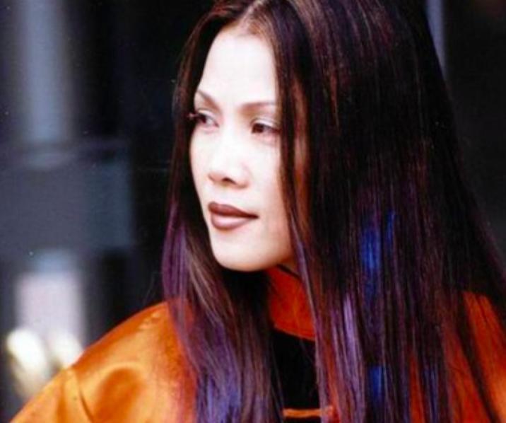 59岁田震近况曝光，戴假发化清纯妆，优雅现身和之前简直判若两人(图13)