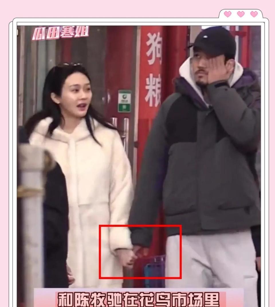 陈冰陈牧驰牵手逛花鸟市场被偶遇，陈冰挺孕肚为陈牧驰挡风好甜蜜(图5)