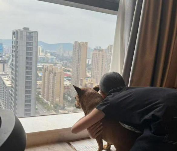 孙俪晒11岁女儿小花背影，和邓超复制粘贴，穿兄妹装撸狗超有爱(图4)